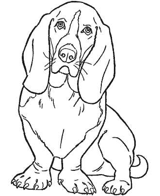 dog coloring page