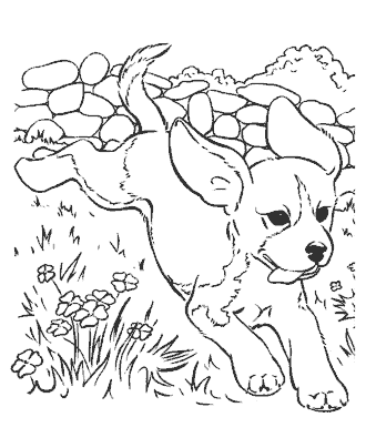 dog coloring page