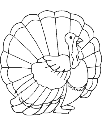 turkey coloring page